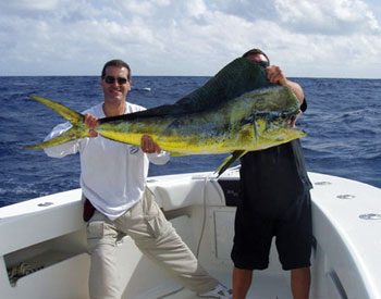 Double D Charters - South Florida & Miami Fishing Charters - Deep Sea  Fishing Charter Boat