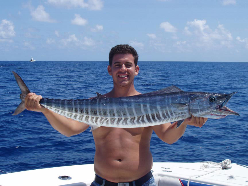 blue wahoo fish