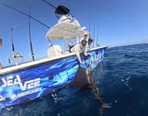 Sailfish release