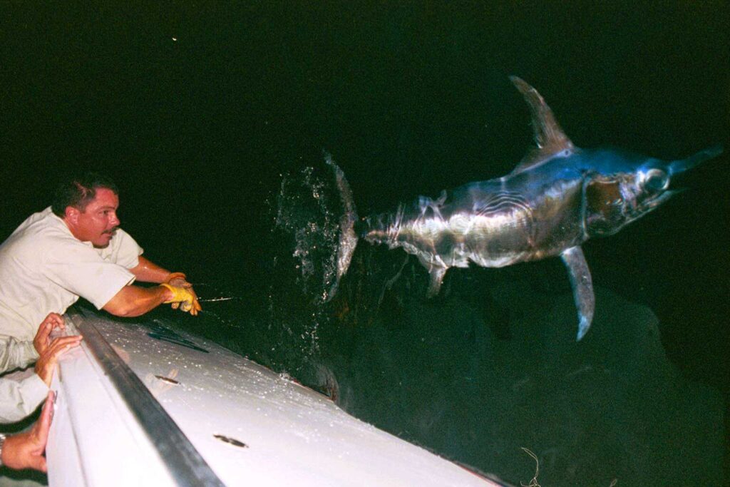 Captain Dean Panos releasing a swordfish at night.