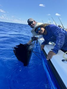 Angler about to release another sailfish off Miami
