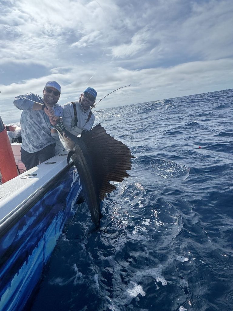 Angler about to release a sailfish off Miami