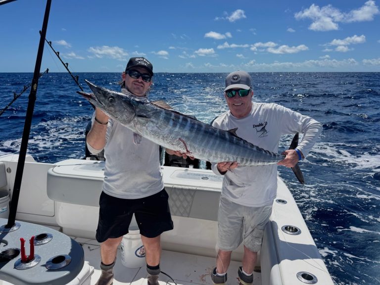 Nice Colors on this Wahoo