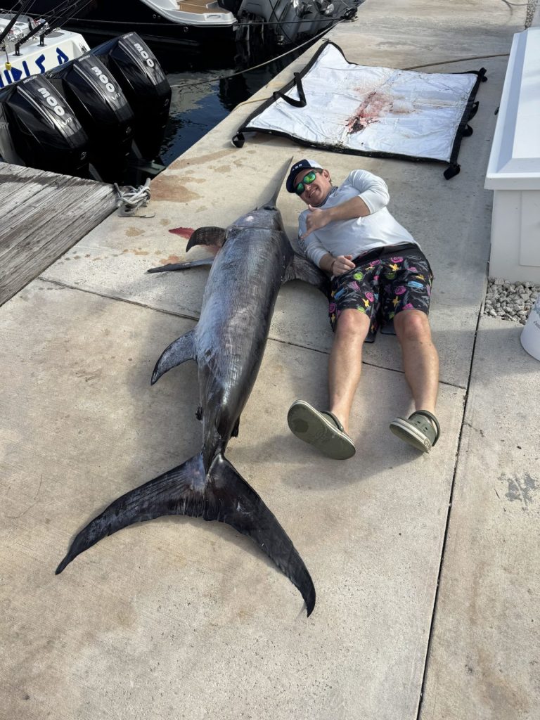 Daytime Hand Crank Sword