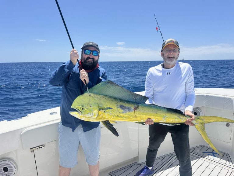 Nice 31 Lb Mahi