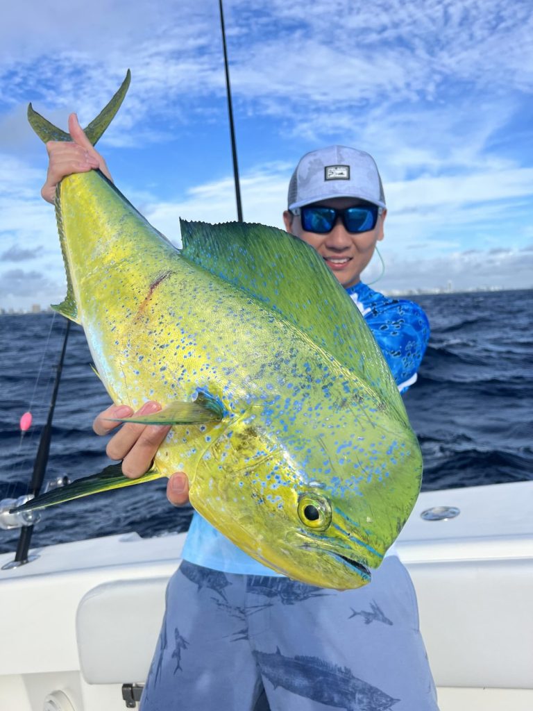 Mahi-Mahi